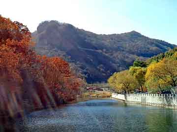 新澳天天开奖资料大全旅游团，金属管浮子流量计厂家